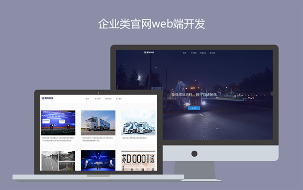 网站定制建设企业公司开发电商
